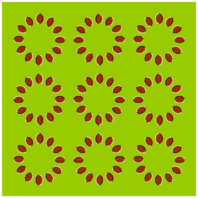 Image 35